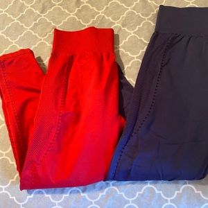 Bundle Fabletics Seamless leggings